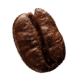 demo-attachment-38-coffee-beans-P4MXYZD5