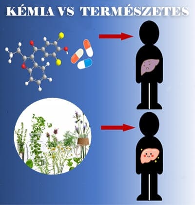 gyógyszer vs gyógynövény